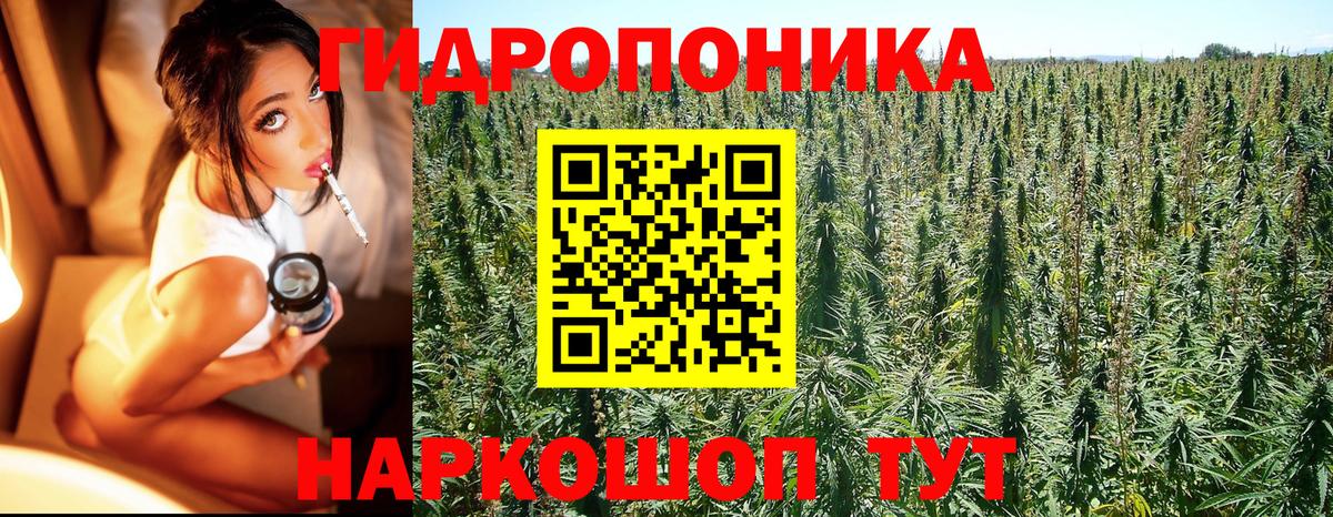 Шишки марихуана семена  Вход с VPN  МАРИХУАНА LSD WEED  Янаул 